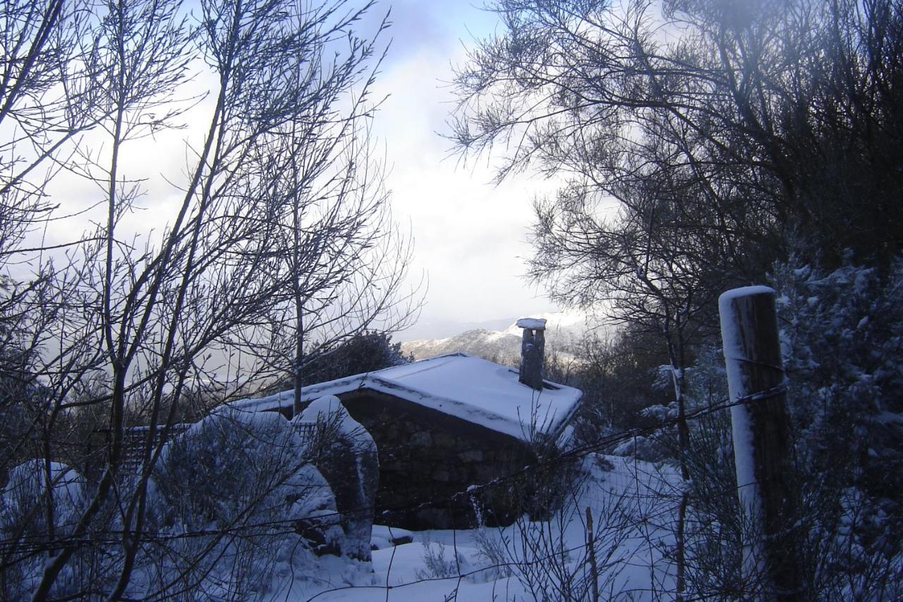 Casa Do Sertao Para 4 Pessoas -Geres Viana do Castelo Dış mekan fotoğraf