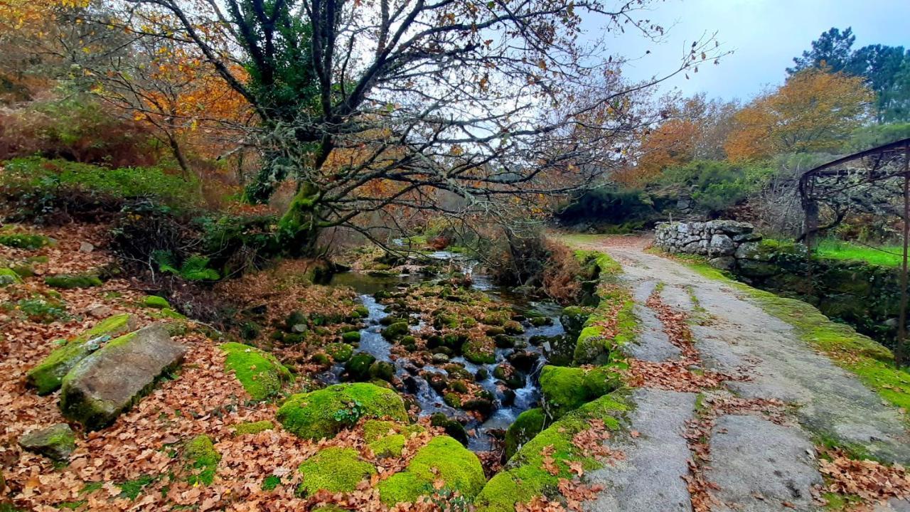 Casa Do Sertao Para 4 Pessoas -Geres Viana do Castelo Dış mekan fotoğraf